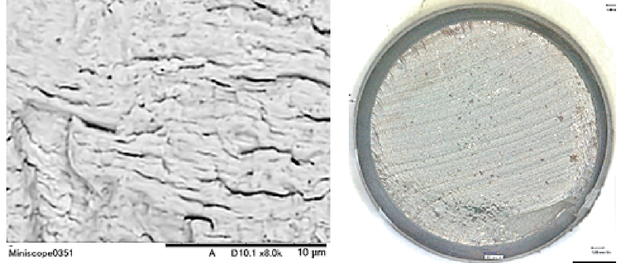 Nedi Labo - Our research & development